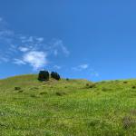 A vigorous hike up the Kohala Mtn. foothills of Waimea